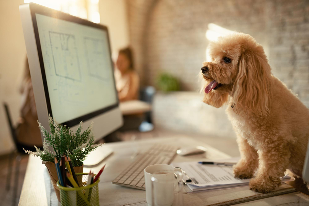 Creating a Pawsitive Workspace: Office Cleaning Tips for Pet-Friendly Offices